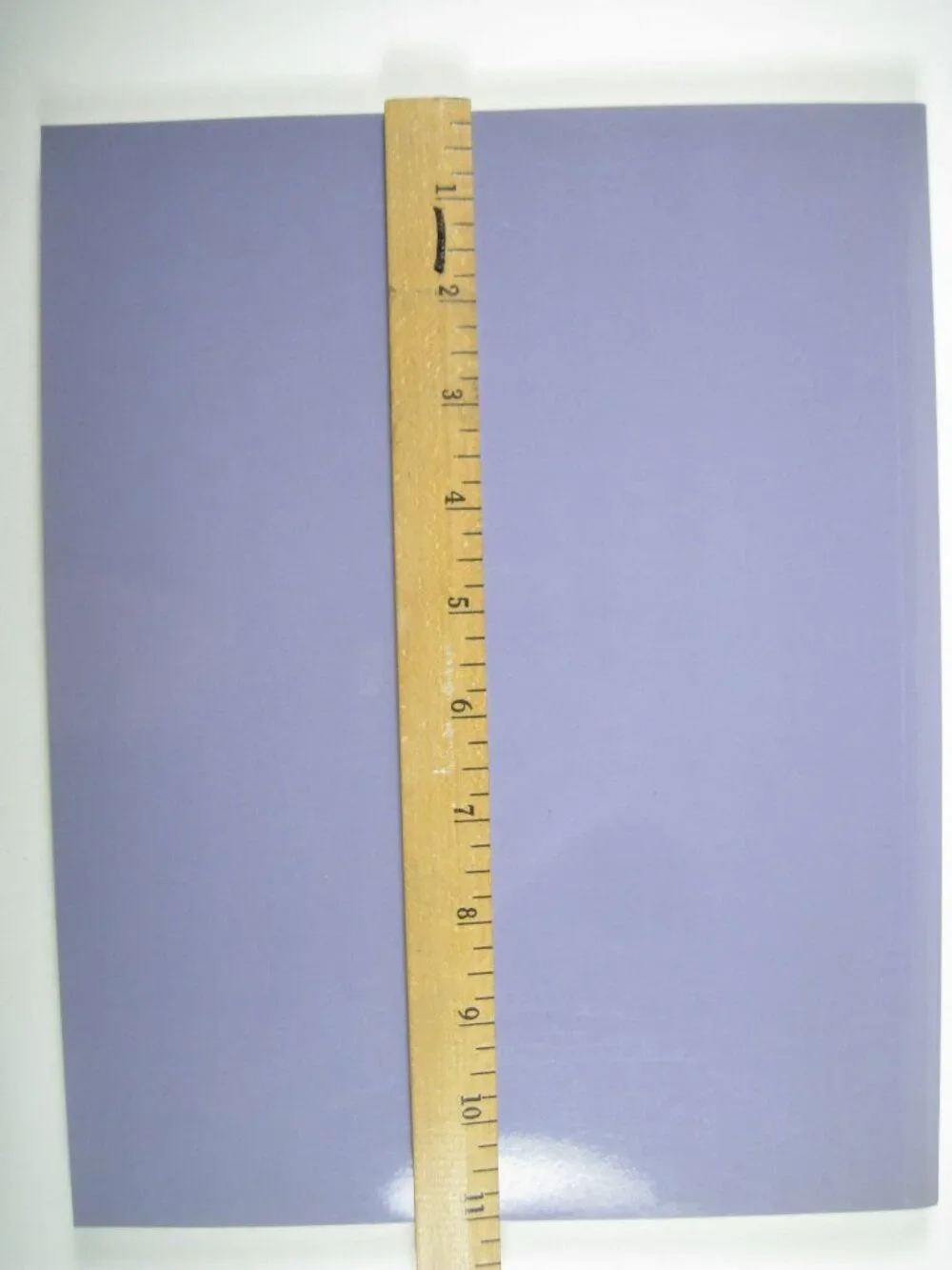 Jasper Johns Work Since 1974 Catalog Philadelphia Museum Art 1988 Rosenthal